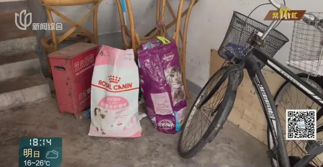 风暴娱乐主管：香水喷喷就没了？上海阿姨把自家房子给猫住！楼道里一股味道，邻居崩溃