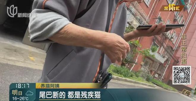 风暴娱乐主管：香水喷喷就没了？上海阿姨把自家房子给猫住！楼道里一股味道，邻居崩溃