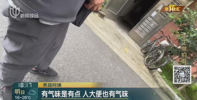 风暴娱乐主管：香水喷喷就没了？上海阿姨把自家房子给猫住！楼道里一股味道，邻居崩溃