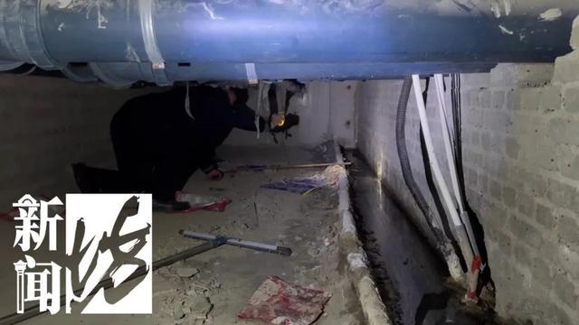 风暴娱乐主管：香水喷喷就没了？上海阿姨把自家房子给猫住！楼道里一股味道，邻居崩溃