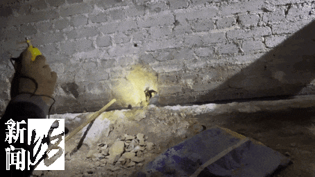 风暴娱乐主管：香水喷喷就没了？上海阿姨把自家房子给猫住！楼道里一股味道，邻居崩溃