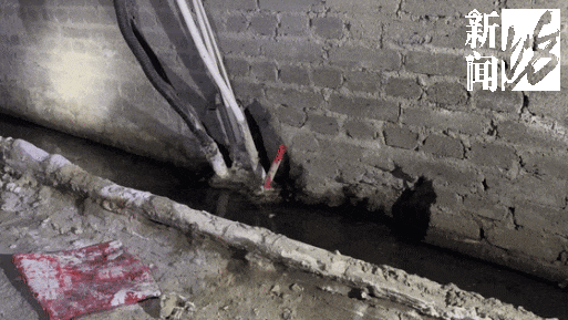 风暴娱乐主管：香水喷喷就没了？上海阿姨把自家房子给猫住！楼道里一股味道，邻居崩溃