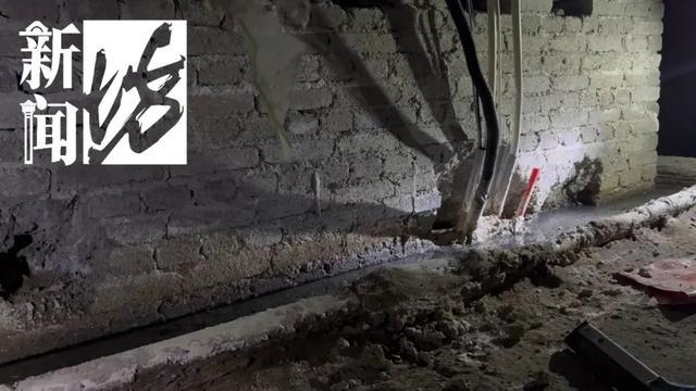 风暴娱乐主管：香水喷喷就没了？上海阿姨把自家房子给猫住！楼道里一股味道，邻居崩溃