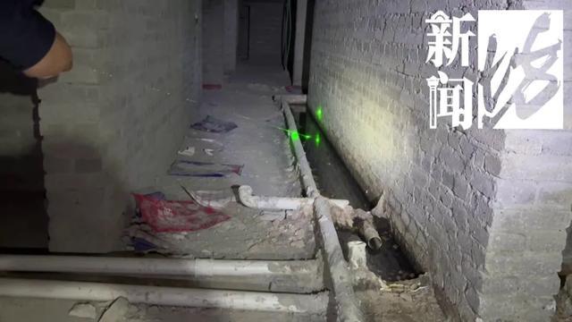 风暴娱乐主管：香水喷喷就没了？上海阿姨把自家房子给猫住！楼道里一股味道，邻居崩溃