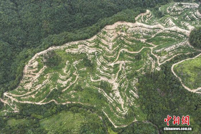 风暴娱乐：（乡村行·看振兴）福建大田：“股”活青山 生态富民